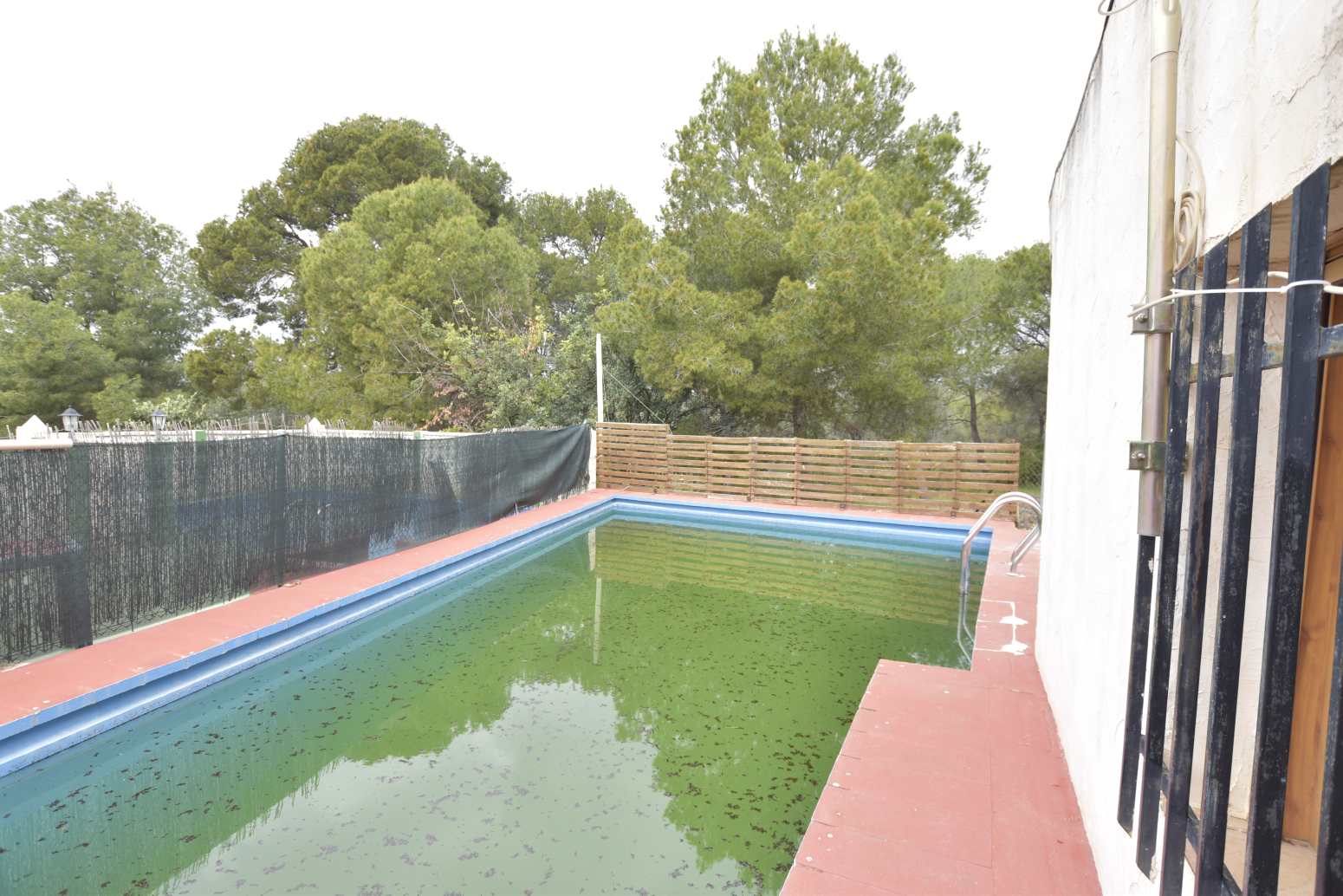 Casas o chalets-Venta-Albalat dels Tarongers-1088965-Foto-42