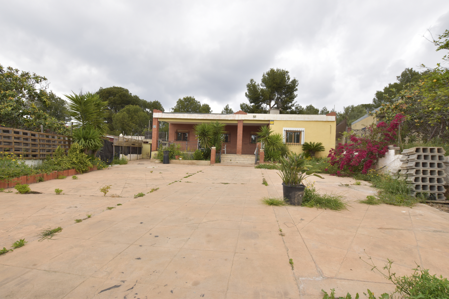 Casas o chalets-Venta-Albalat dels Tarongers-1088965-Foto-10