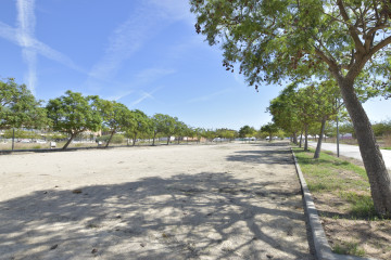 Fincas y solares-Venta-Massamagrell-1412045-Foto-11-Carrousel