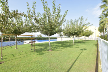 Pisos-Venta-Sagunto-1421644-Foto-37-Carrousel