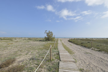 Fincas y solares-Venta-Sagunto-1439741-Foto-17-Carrousel