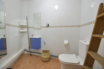 Locales-Alquiler-PuÃ§ol-1482797-Foto-23-Carrousel