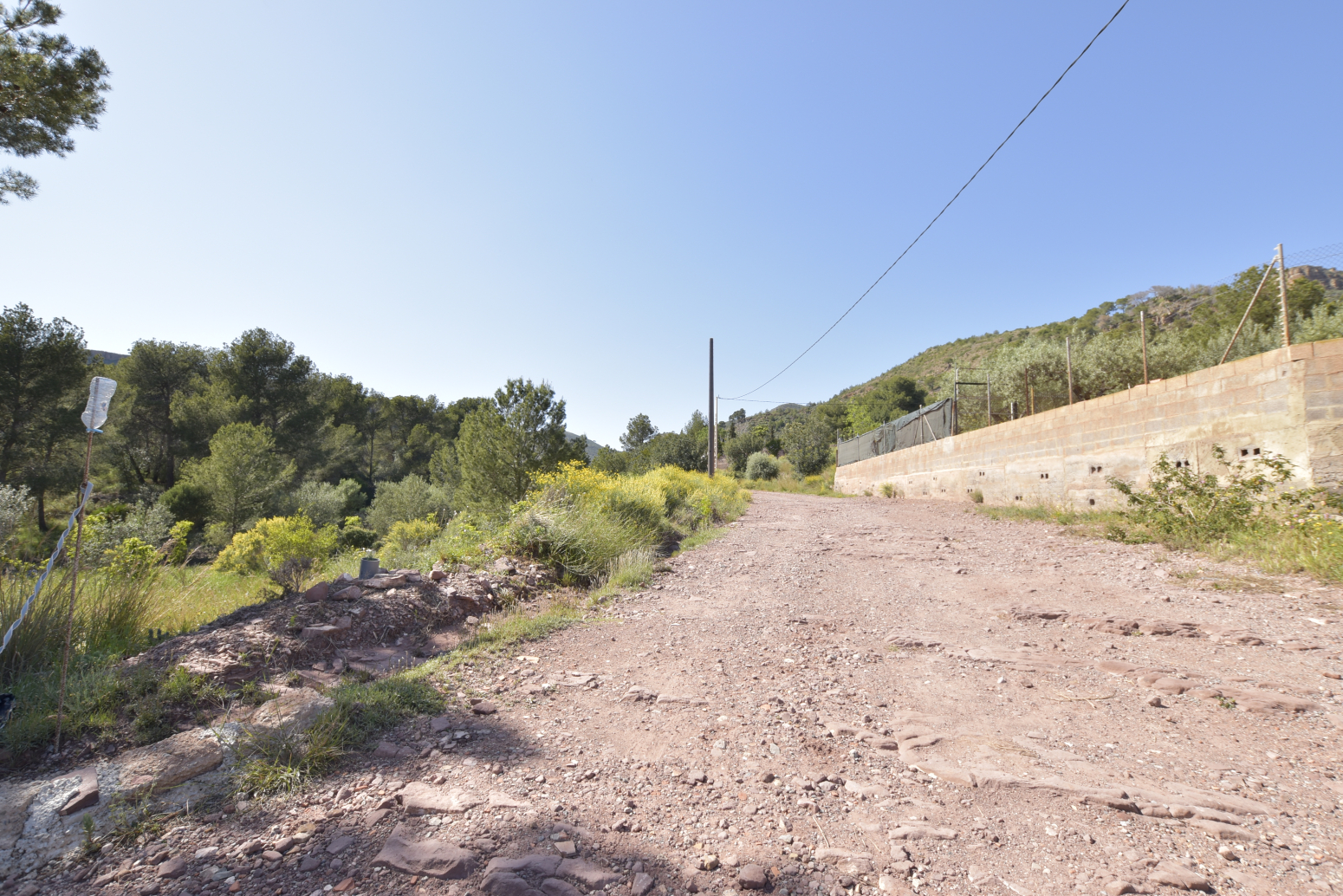 Casas o chalets-Venta-Albalat dels Tarongers-1682224-Foto-69