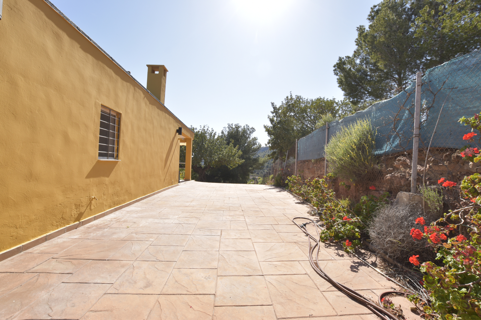 Casas o chalets-Venta-Albalat dels Tarongers-1682224-Foto-40