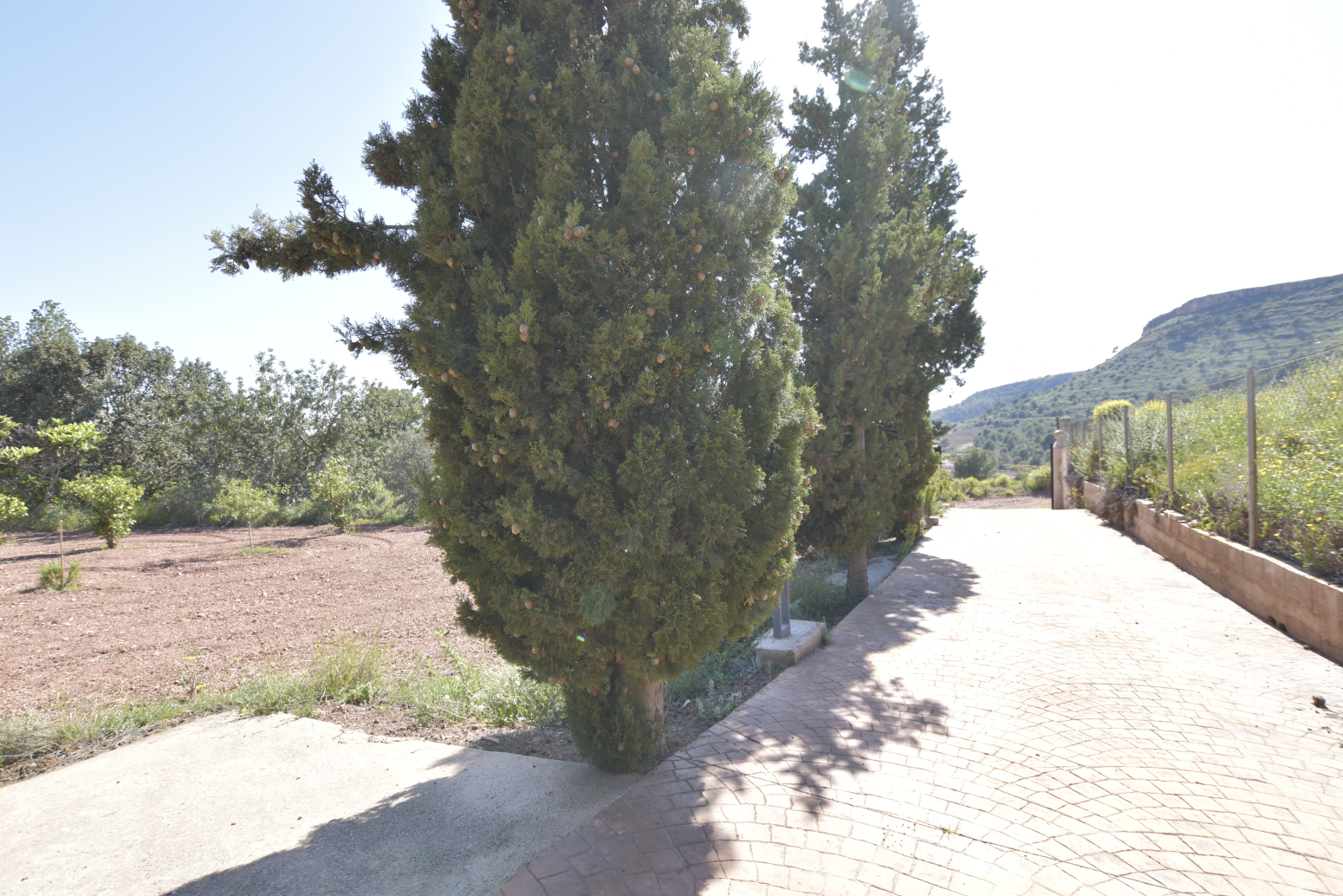 Casas o chalets-Venta-Albalat dels Tarongers-1682224-Foto-64