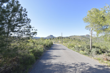 Casas o chalets-Venta-Albalat dels Tarongers-1682224-Foto-64-Carrousel
