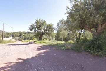 Casas o chalets-Venta-Albalat dels Tarongers-1682224-Foto-70-Carrousel