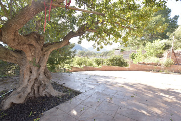 Casas o chalets-Venta-Albalat dels Tarongers-1682224-Foto-10-Carrousel