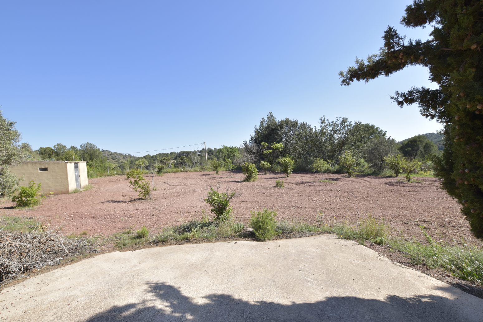 Casas o chalets-Venta-Albalat dels Tarongers-1682224-Foto-54