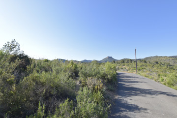 Casas o chalets-Venta-Albalat dels Tarongers-1682224-Foto-65-Carrousel