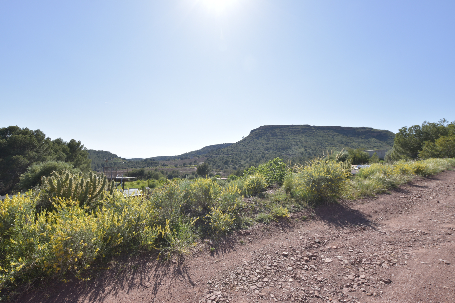 Casas o chalets-Venta-Albalat dels Tarongers-1682224-Foto-53