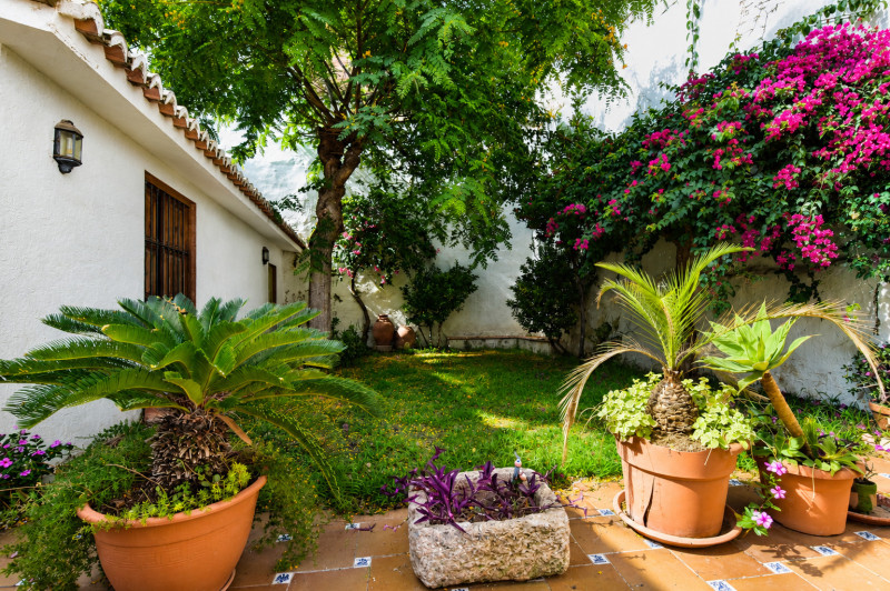 Casas o chalets-Venta-PuÃ§ol-2289499-Foto-23