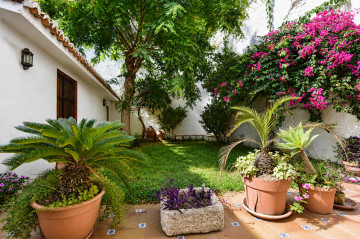 Casas o chalets-Venta-PuÃ§ol-2289499-Foto-20-Carrousel