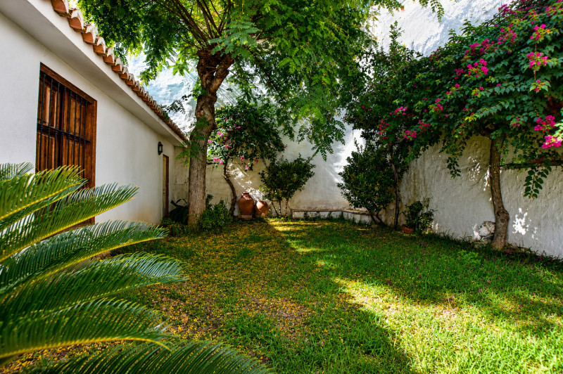 Casas o chalets-Venta-PuÃ§ol-2289499-Foto-4