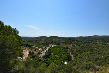 Fincas y solares-Venta-Picassent-2356222-Foto-12-Carrousel