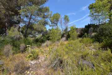 Fincas y solares-Venta-Picassent-2356222-Foto-18-Carrousel