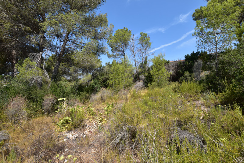 Fincas y solares-Venta-Picassent-2356222-Foto-19