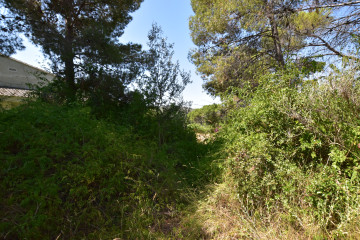 Fincas y solares-Venta-Picassent-2356222-Foto-16-Carrousel