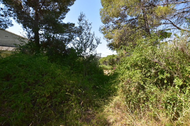 Fincas y solares-Venta-Picassent-2356222-Foto-17