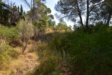 Fincas y solares-Venta-Picassent-2356222-Foto-15-Carrousel