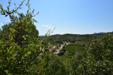 Fincas y solares-Venta-Picassent-2356222-Foto-22-Carrousel