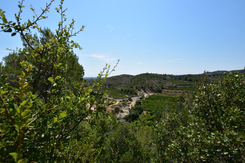 Fincas y solares-Venta-Picassent-2356222-Foto-23