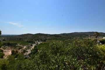 Fincas y solares-Venta-Picassent-2356222-Foto-23-Carrousel