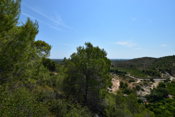 Fincas y solares-Venta-Picassent-2356222