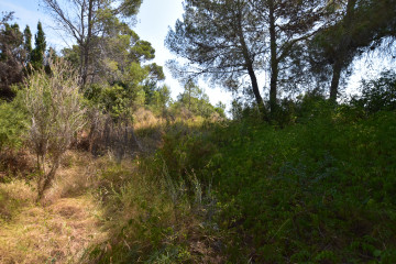 Fincas y solares-Venta-Picassent-2356222-Foto-13-Carrousel