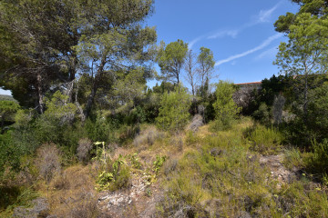 Fincas y solares-Venta-Picassent-2356222-Foto-20-Carrousel