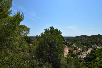 Fincas y solares-Venta-Picassent-2356222-Foto-19-Carrousel