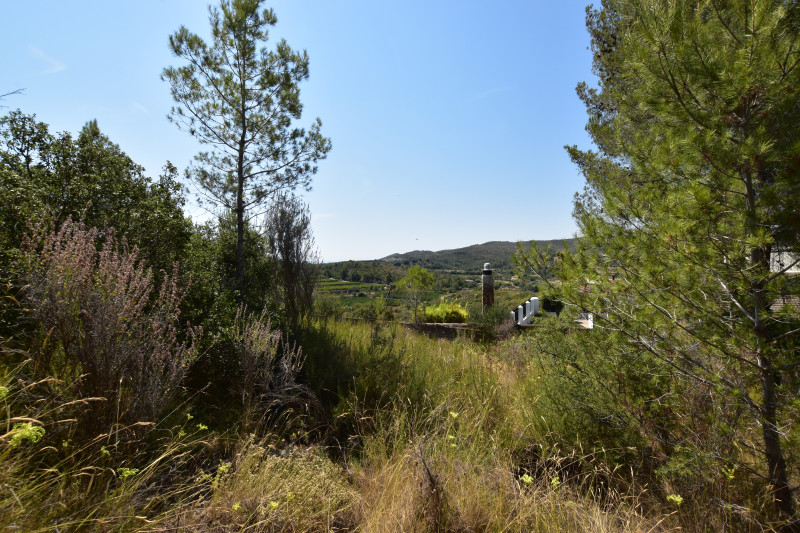 Fincas y solares-Venta-Picassent-2356222-Foto-12