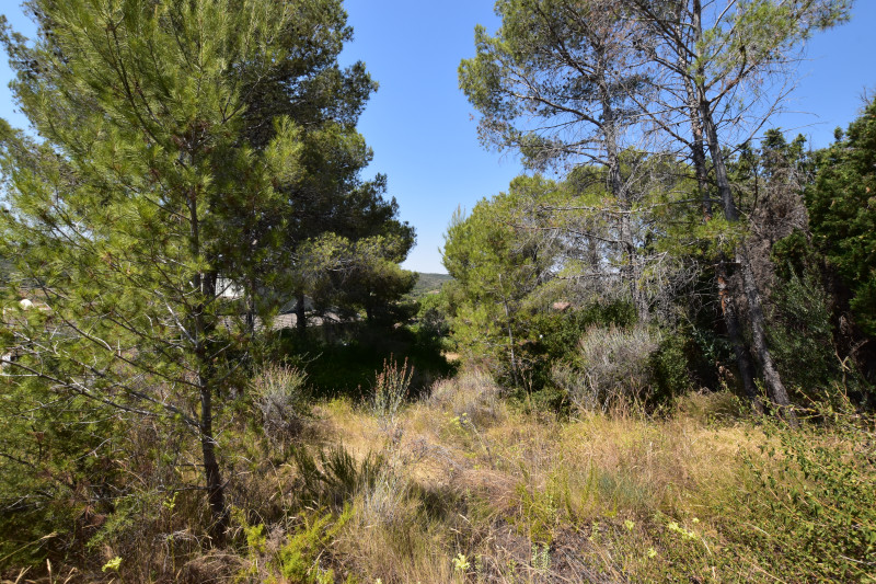 Fincas y solares-Venta-Picassent-2356222-Foto-25