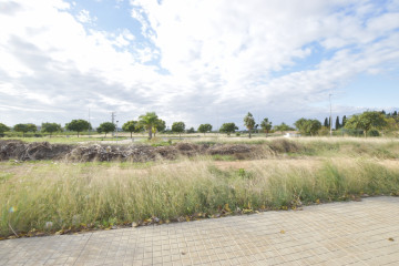 Fincas y solares-Venta-Massamagrell-869072-Foto-2-Carrousel