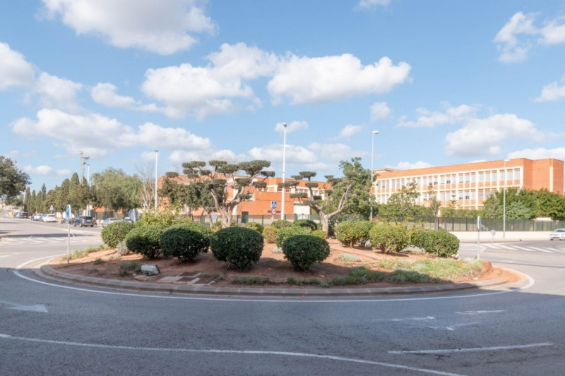 Fincas y solares-Venta-PuÃ§ol-871501-Foto-6