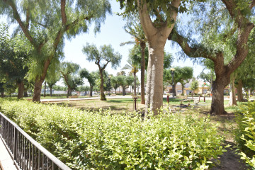 Fincas y solares-Venta-RafelbuÃ±ol-Rafelbunyol-955664-Foto-14-Carrousel