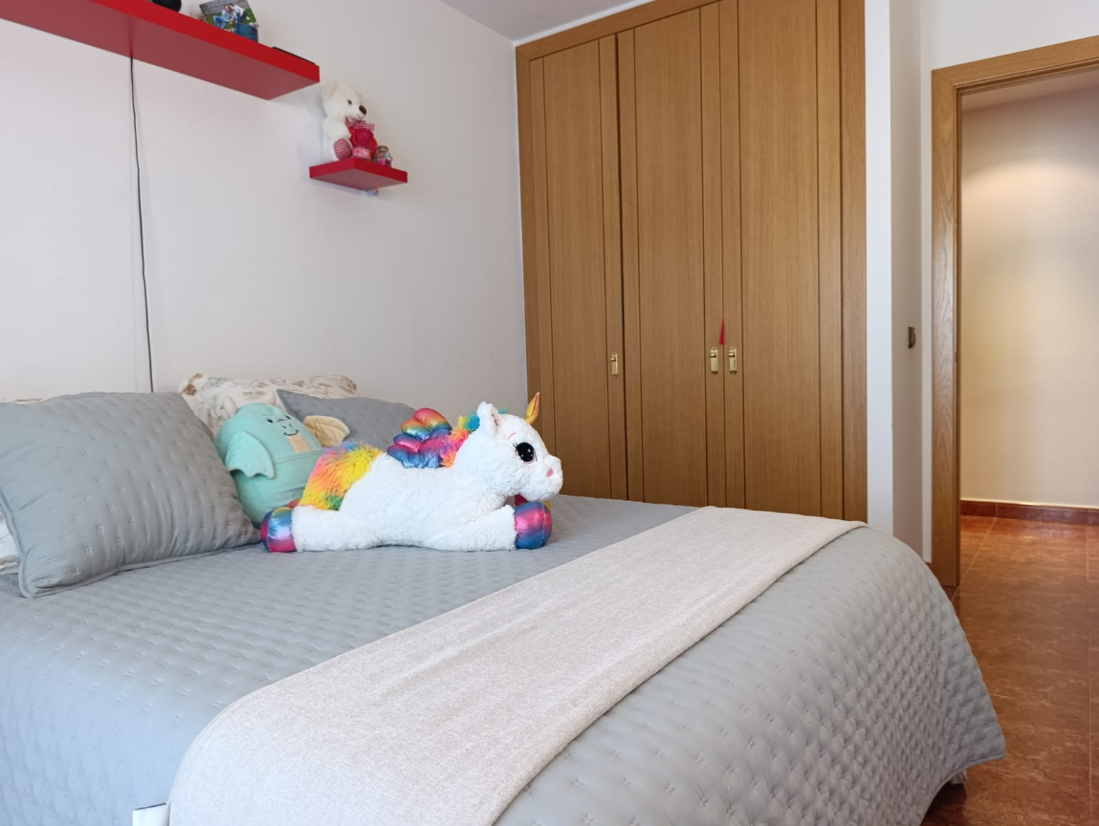 Pisos-Venta-Sant JuliÃ  de LÃ²ria-1721075-Foto-11