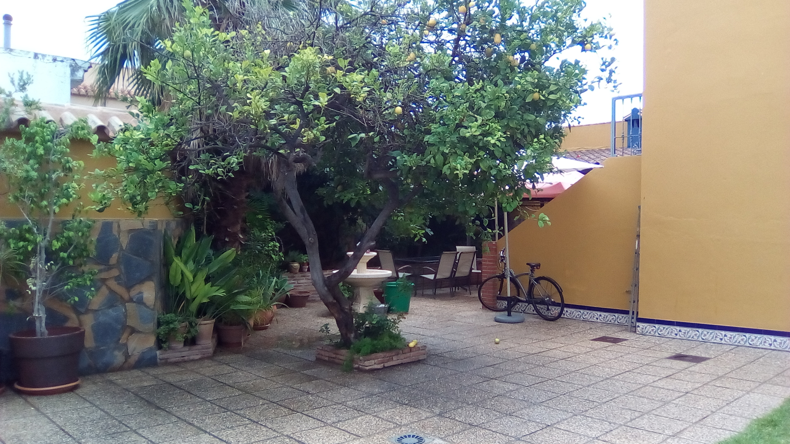 Casas o chalets-Venta-Fuengirola-1425633-Foto-11