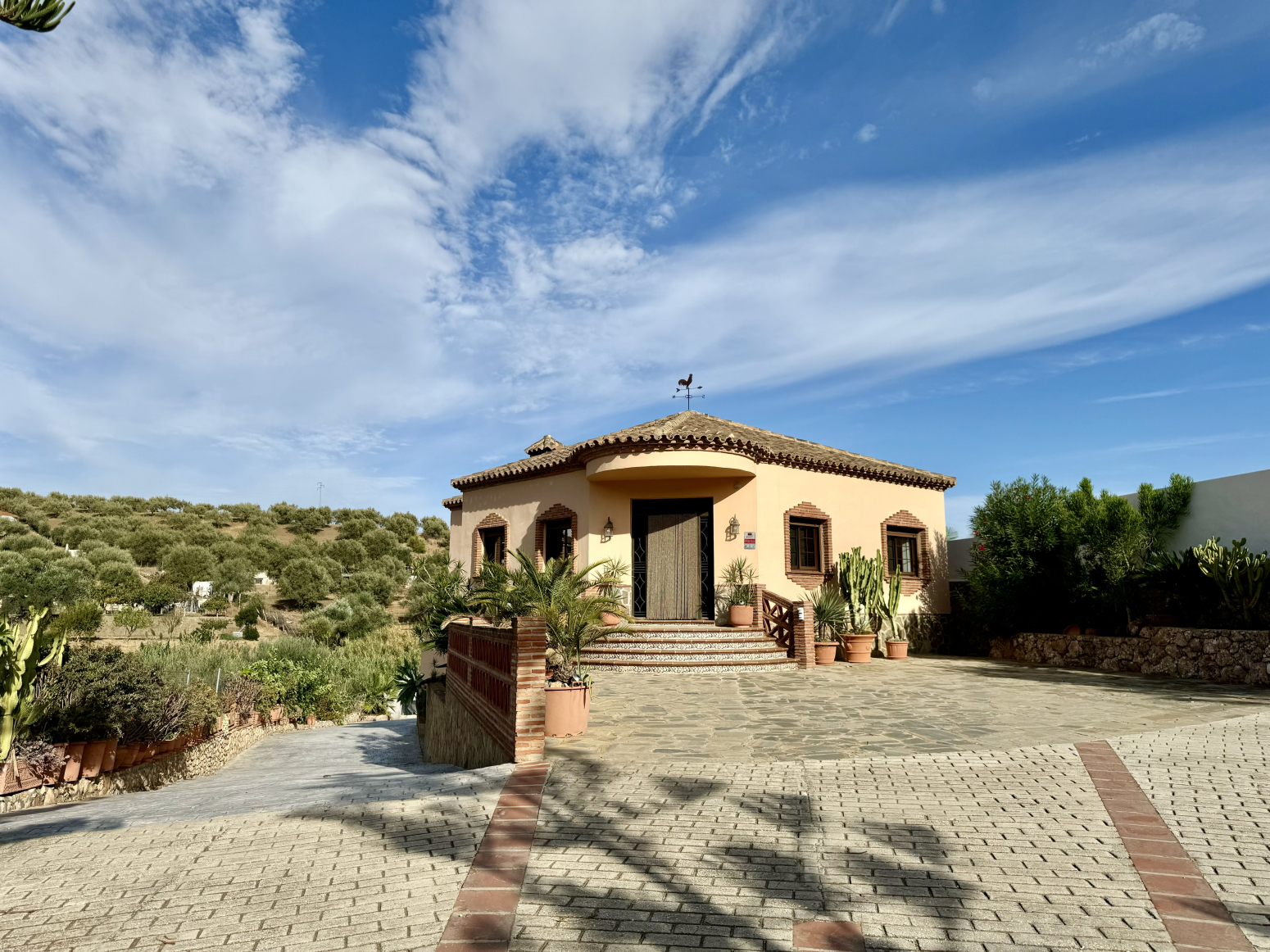 Casas o chalets-Alquiler-Mijas-1454715-Foto-2