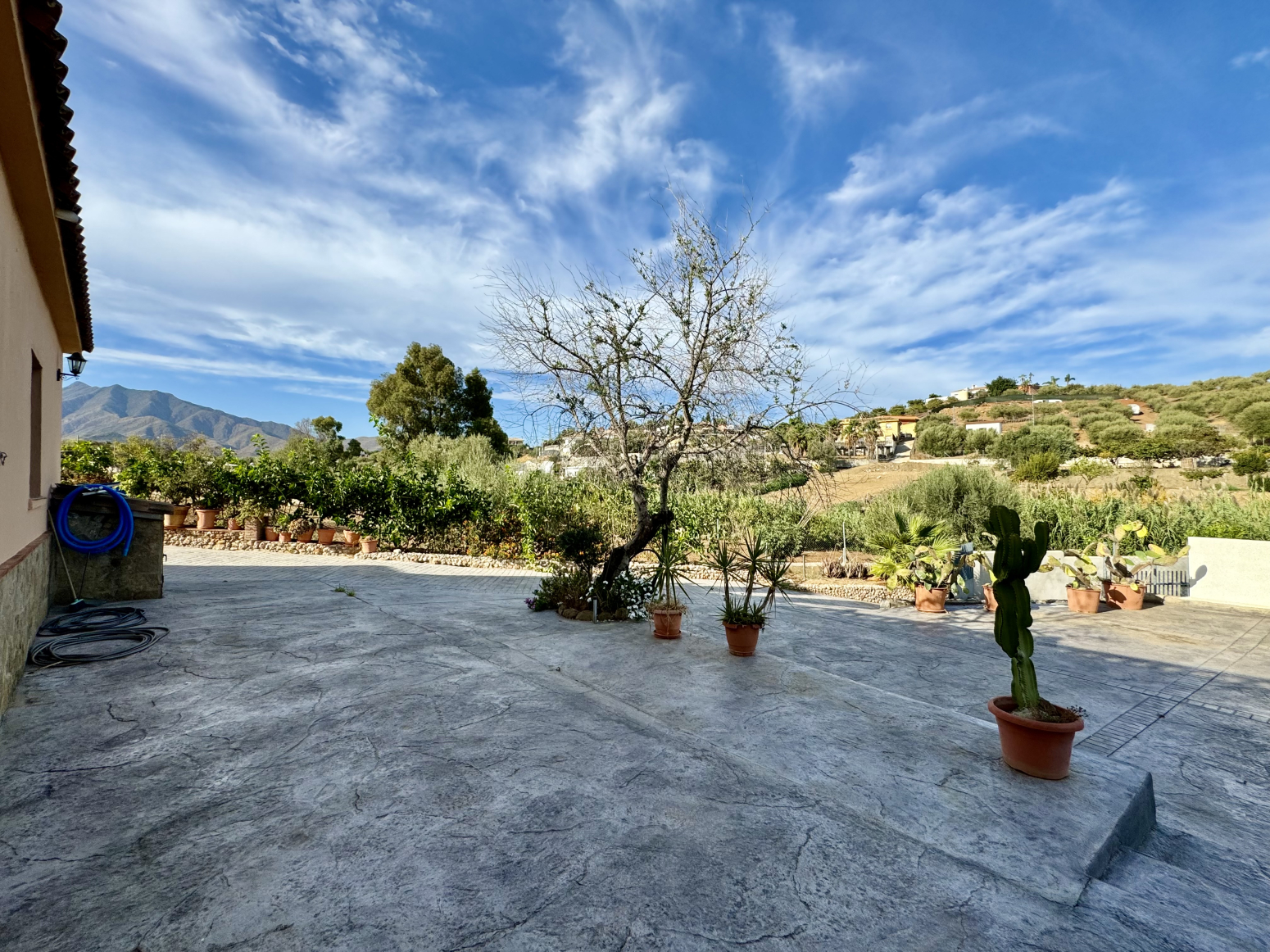 Casas o chalets-Alquiler-Mijas-1454715-Foto-21