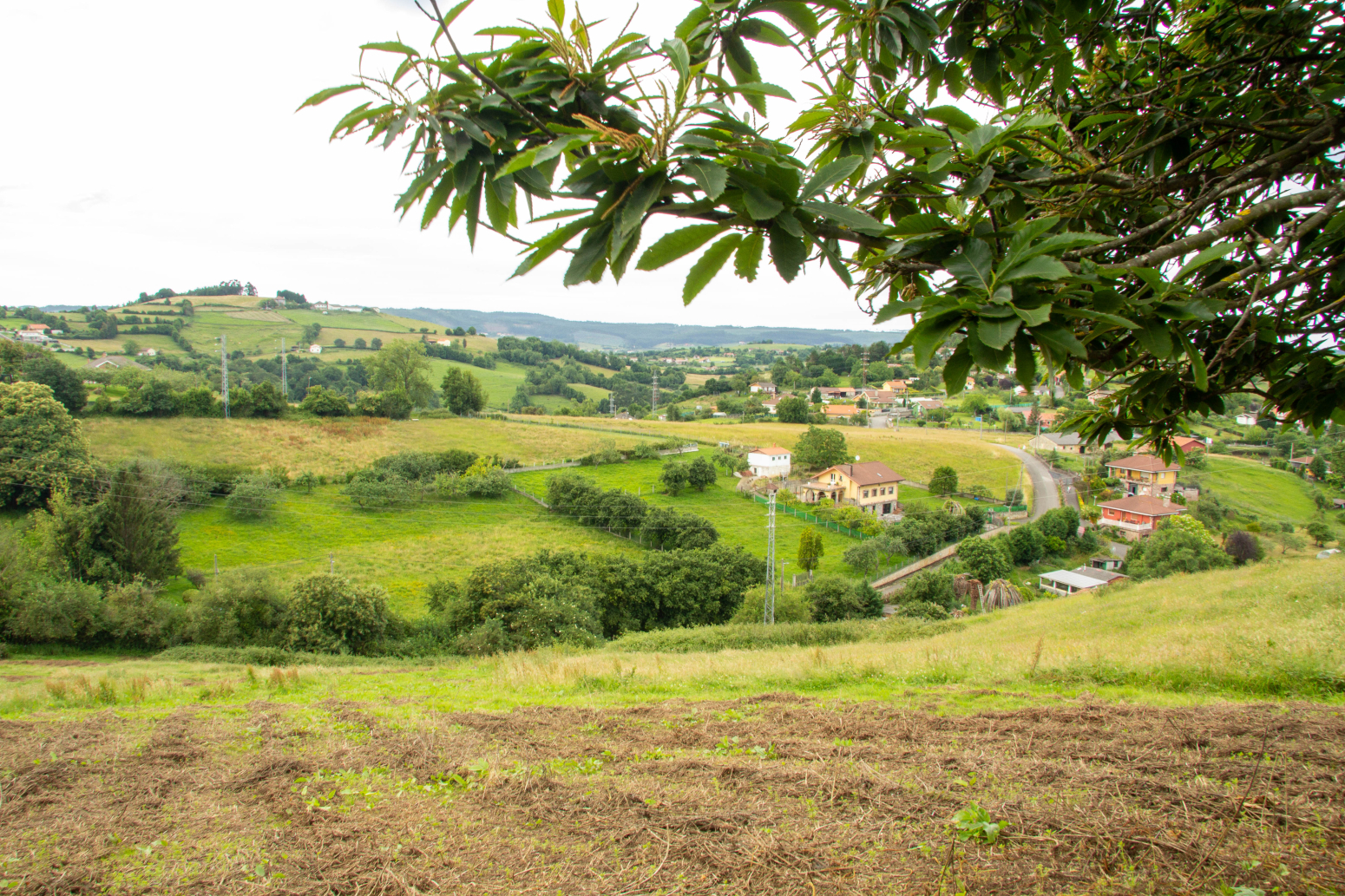 Fincas y solares-Venta-GijÃ³n-1088621-Foto-1