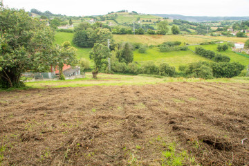 Fincas y solares-Venta-GijÃ³n-1088621-Foto-3-Carrousel