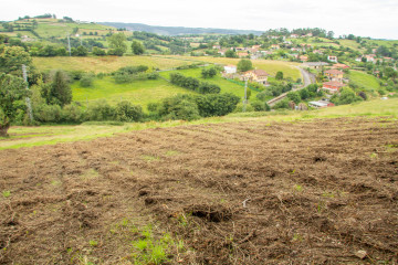 Fincas y solares-Venta-GijÃ³n-1088621-Foto-4-Carrousel