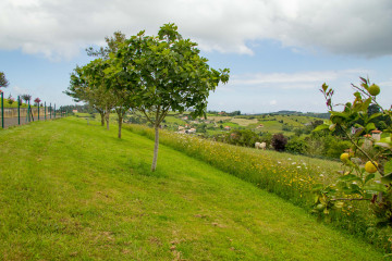 Fincas y solares-Venta-GijÃ³n-1101302-Foto-5-Carrousel