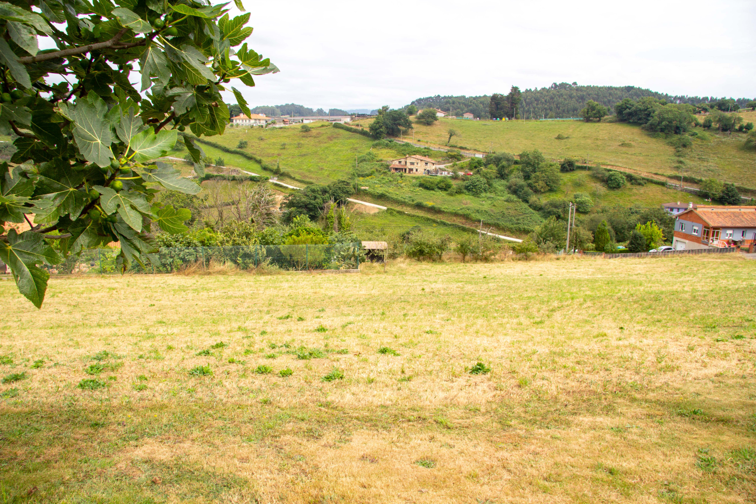 Fincas y solares-Venta-GijÃ³n-1101302-Foto-20