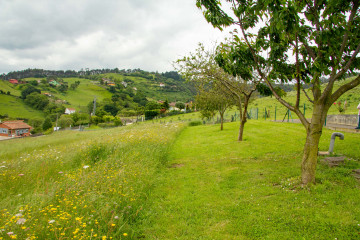 Fincas y solares-Venta-GijÃ³n-1101302-Foto-15-Carrousel