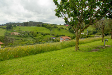 Fincas y solares-Venta-GijÃ³n-1101302-Foto-16-Carrousel