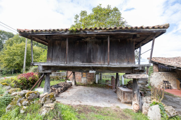 Casas o chalets-Venta-Oviedo-1397244-Foto-35-Carrousel