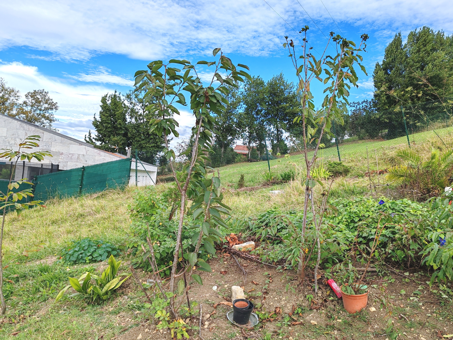 Fincas y solares-Venta-GijÃ³n-1421668-Foto-12