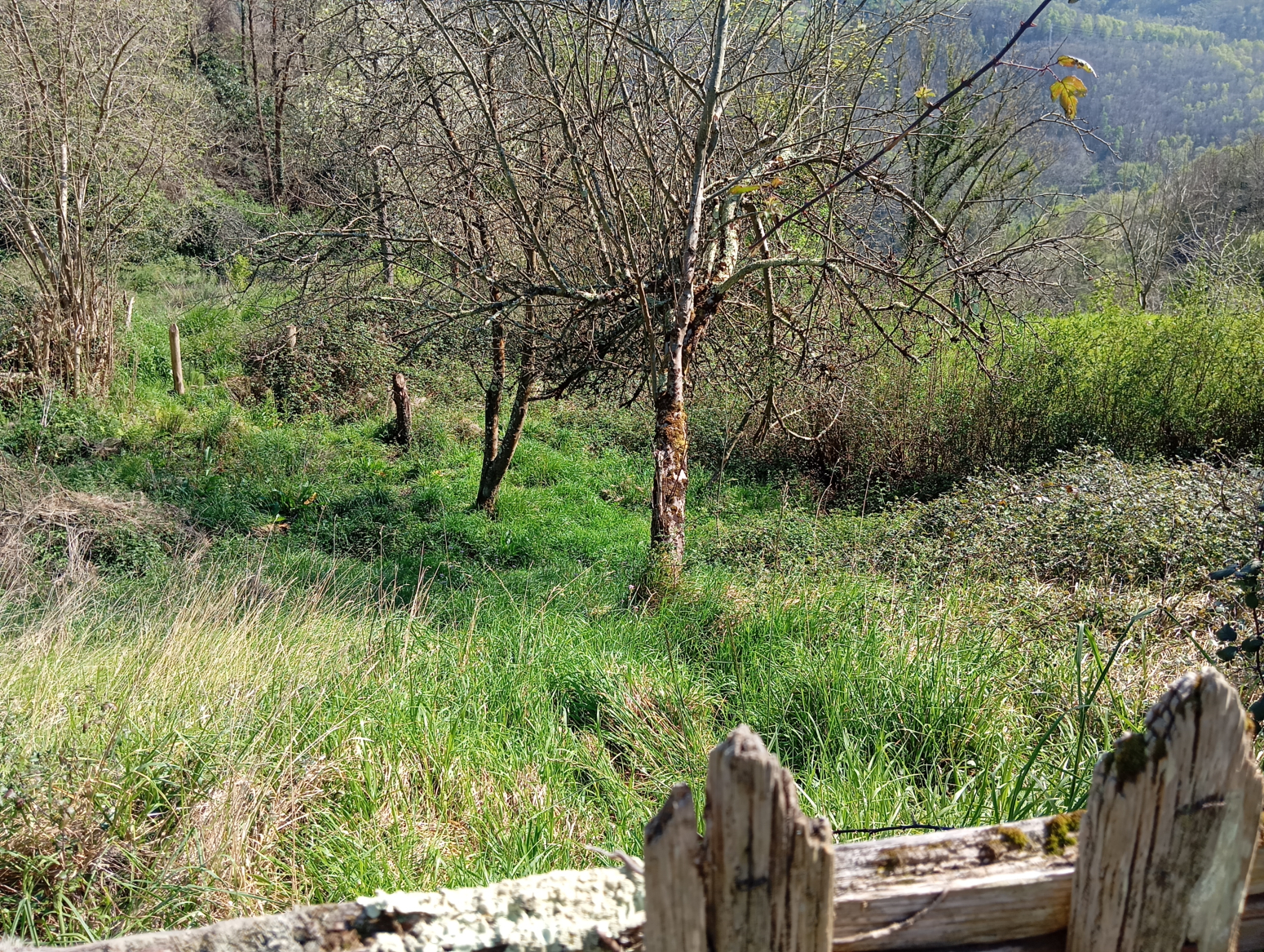 Casas o chalets-Venta-Mieres-1713521-Foto-16